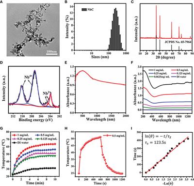 Targeted Phototherapy by Niobium Carbide for Mammalian Tumor Models Similar to Humans